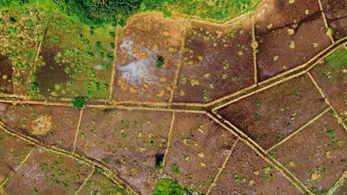 Chụp ảnh Từ Trên Không Về Cánh đồng đất