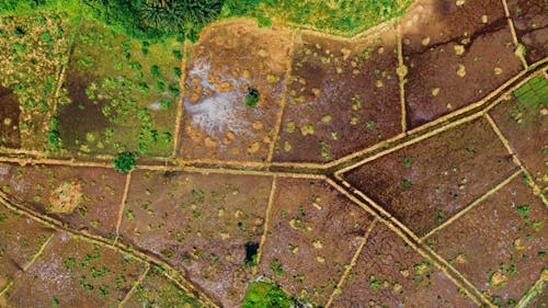 Fotografia Aérea De Campo Terrestre