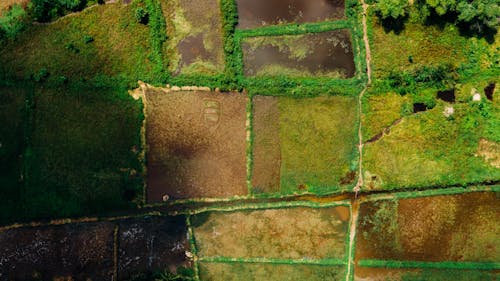 Foto De Vista Superior De Tierras De Cultivo