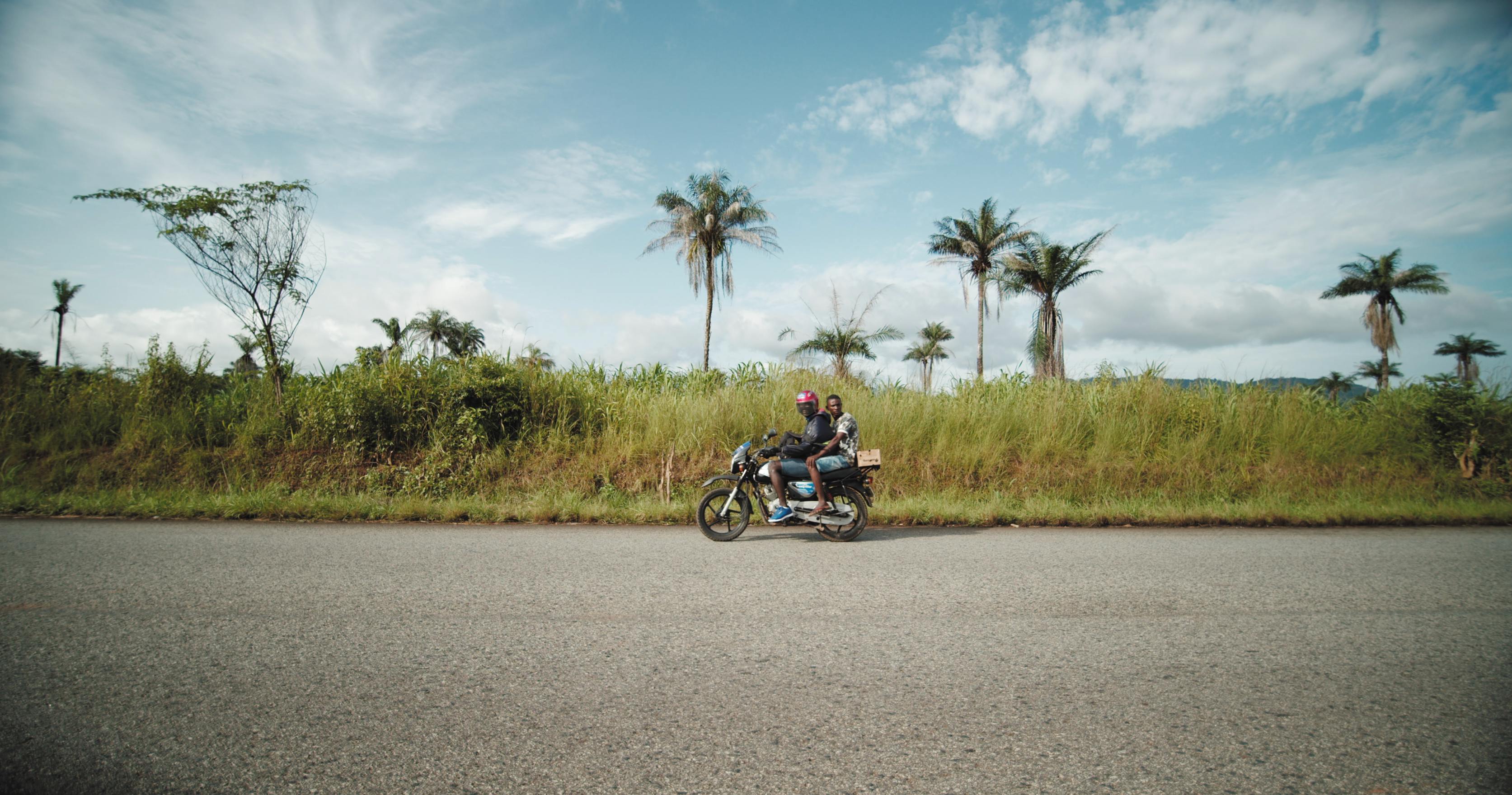 Two people riding a motorcycle along a scenic road with palm trees under a clear sky.