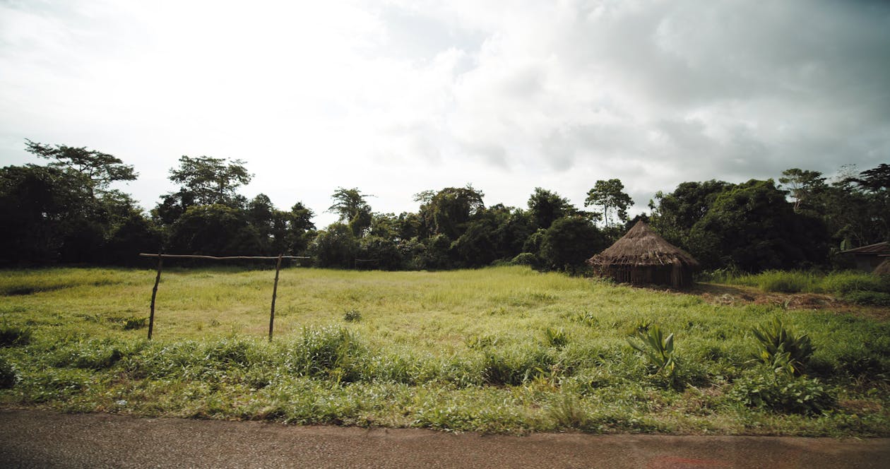 Brown Nipa Hut Sous Les Nuages Blancs