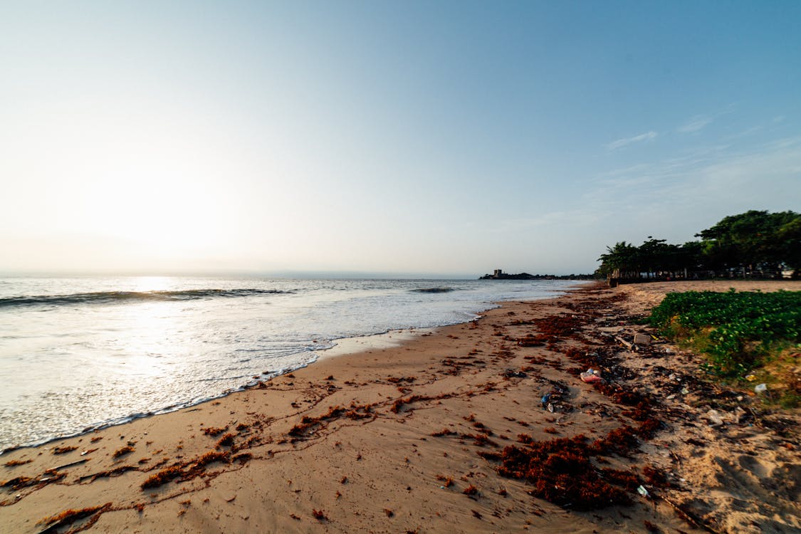 Seashore Viewing Calm Sea Under Blue and White Sky