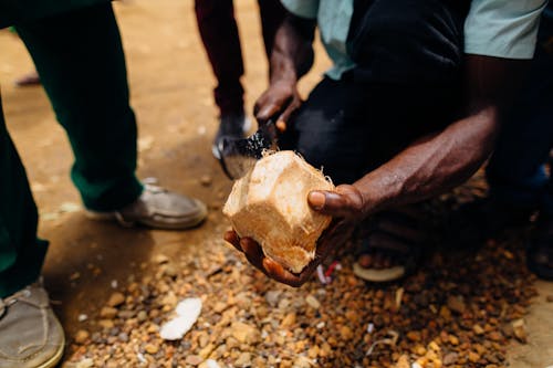 Person Slicing Coconut Fruit