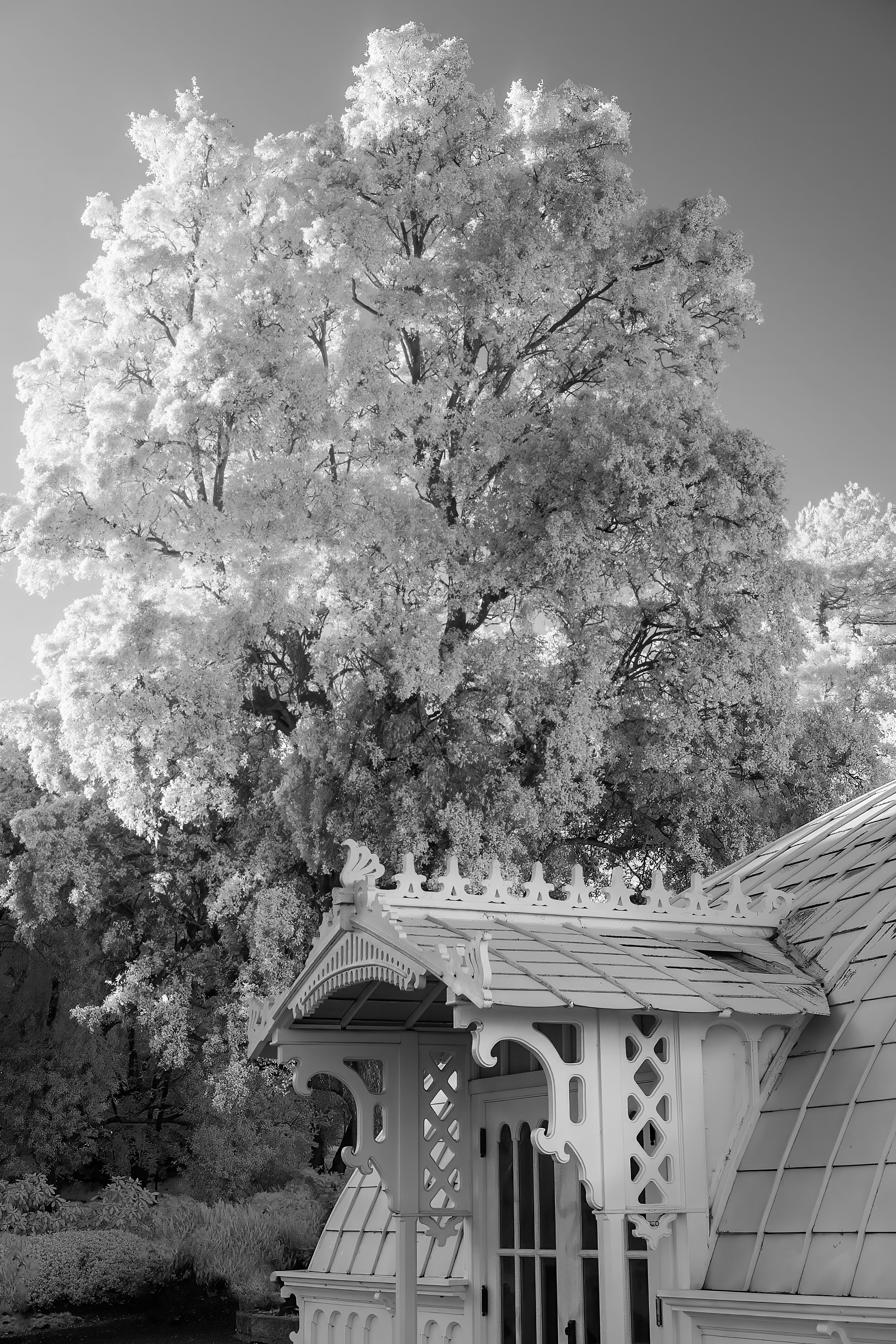 Charming Victorian Gazebo with Lush Tree · Free Stock Photo