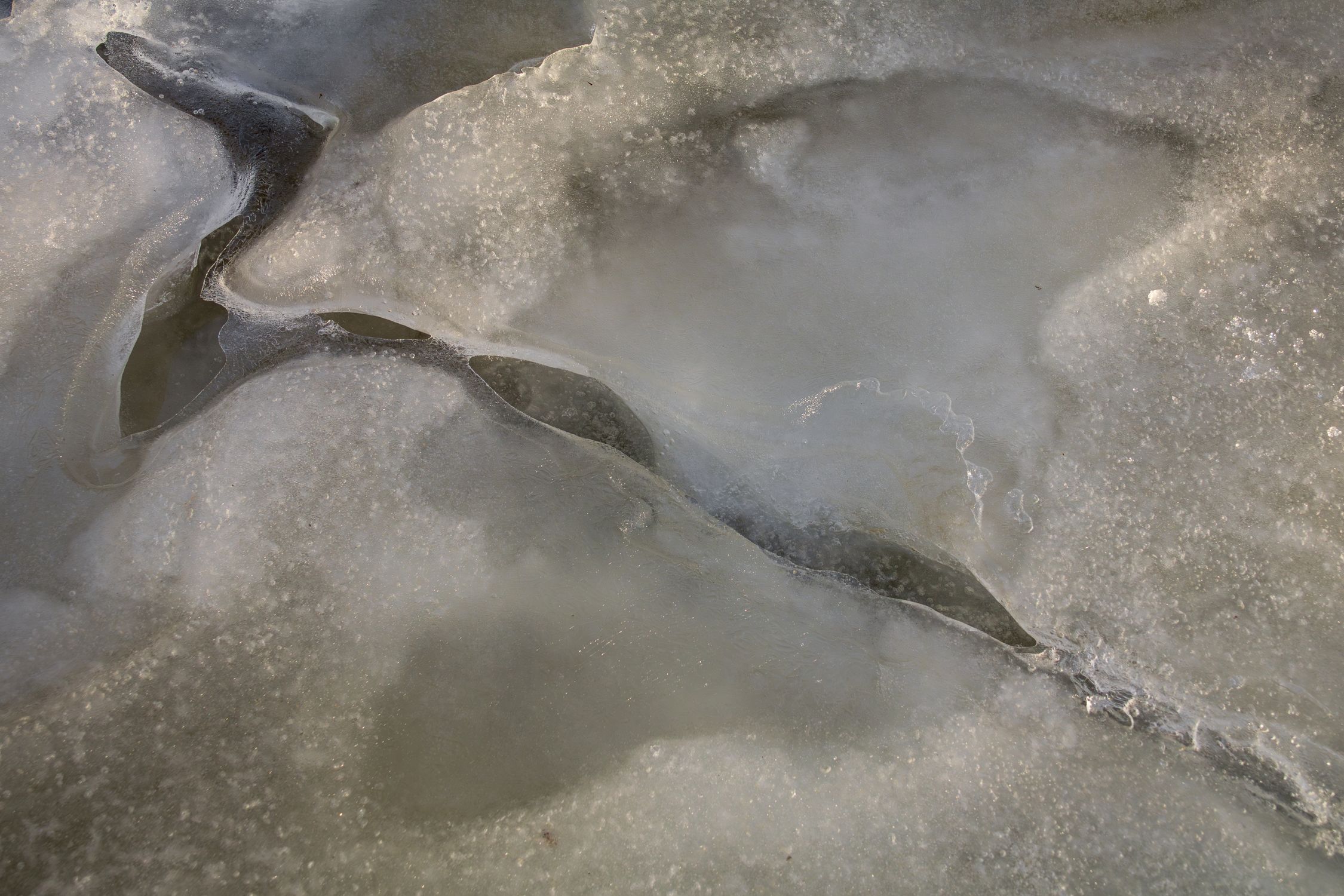 Looping Ice Pattern Abstract Ice Patterns on Frozen Surface · Free Stock Photo