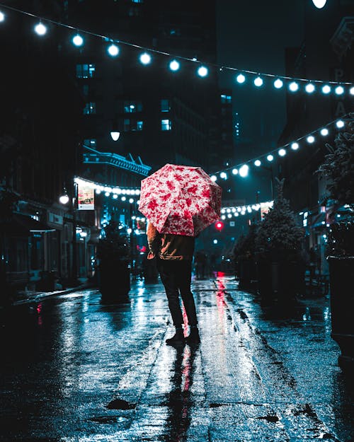 Free stock photo of after the rain, blue, blue and red