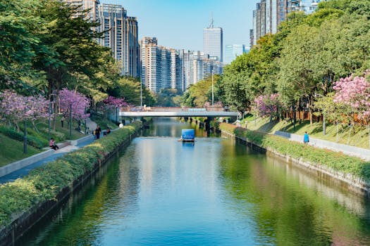 Shenzhen, China photo 16