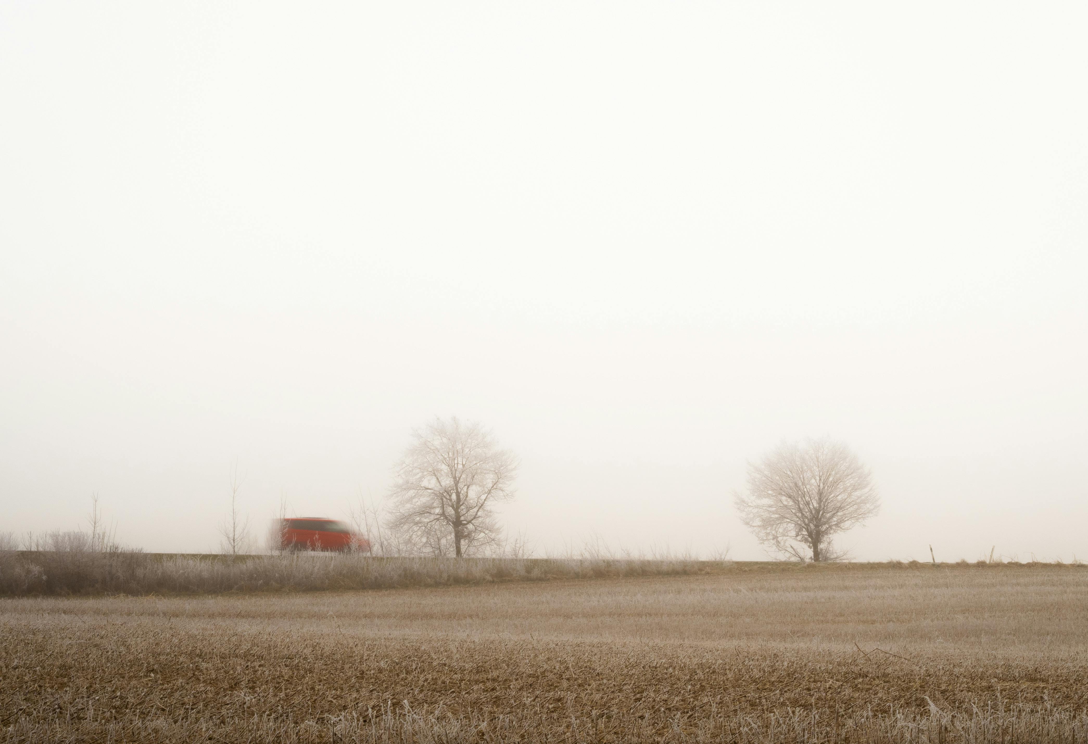 Scenic drive to Gulmarg