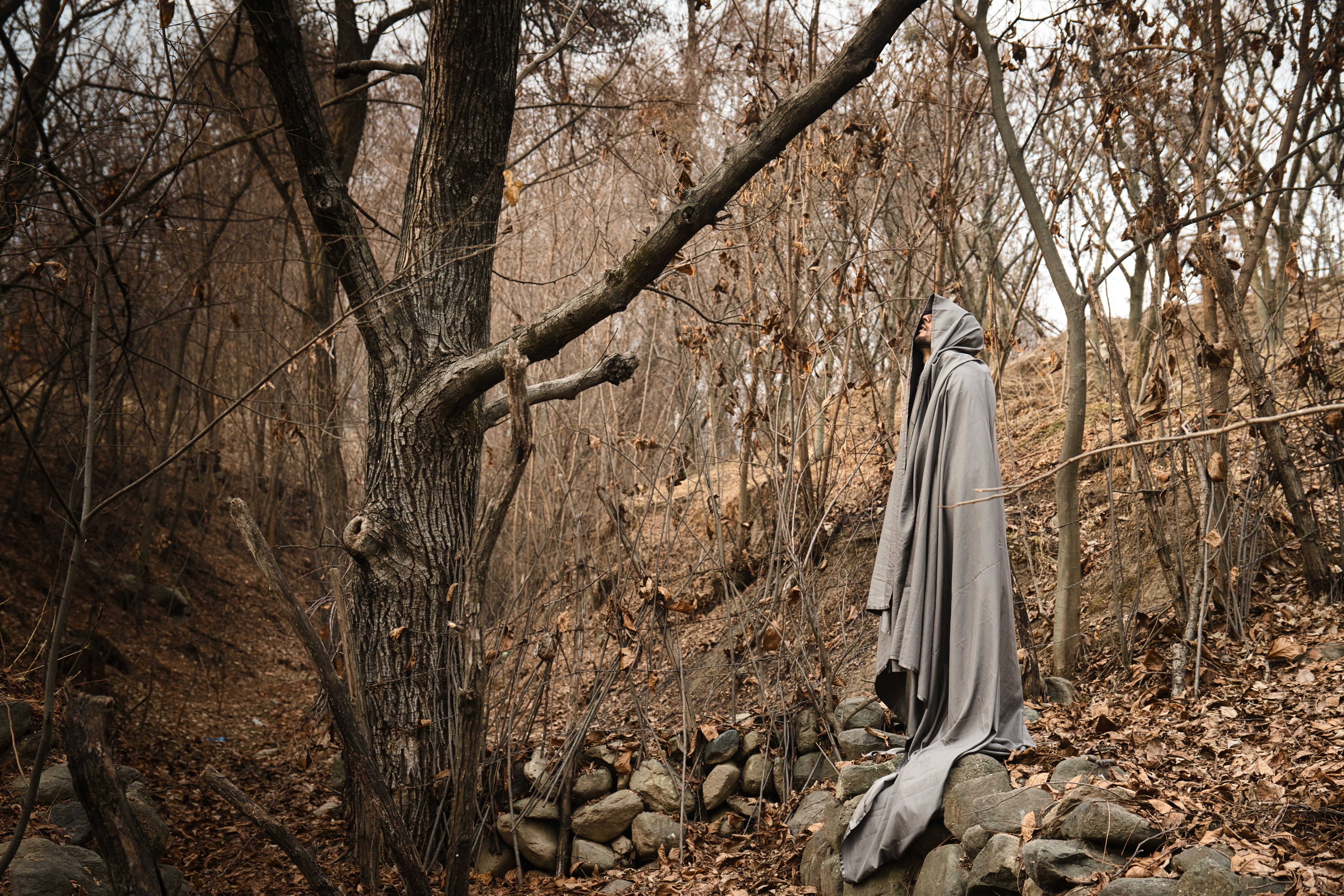 Artwork for Celibacy, Silence & Self-Mastery: A Radical Journey with Alexander Reynolds