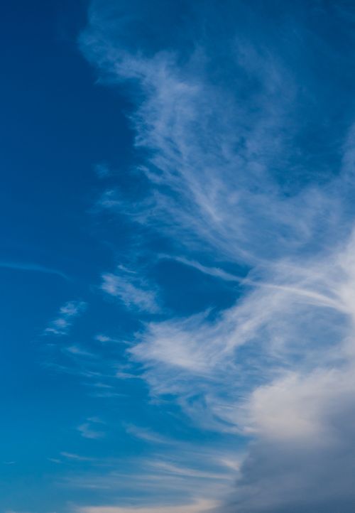 Free A vibrant blue sky featuring wispy cirrus clouds, capturing a serene natural view. Stock Photo