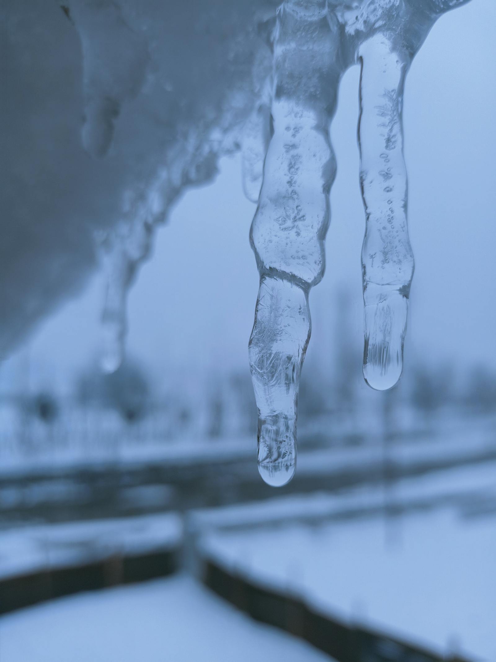 Winter season in india photos download the best free winter season in