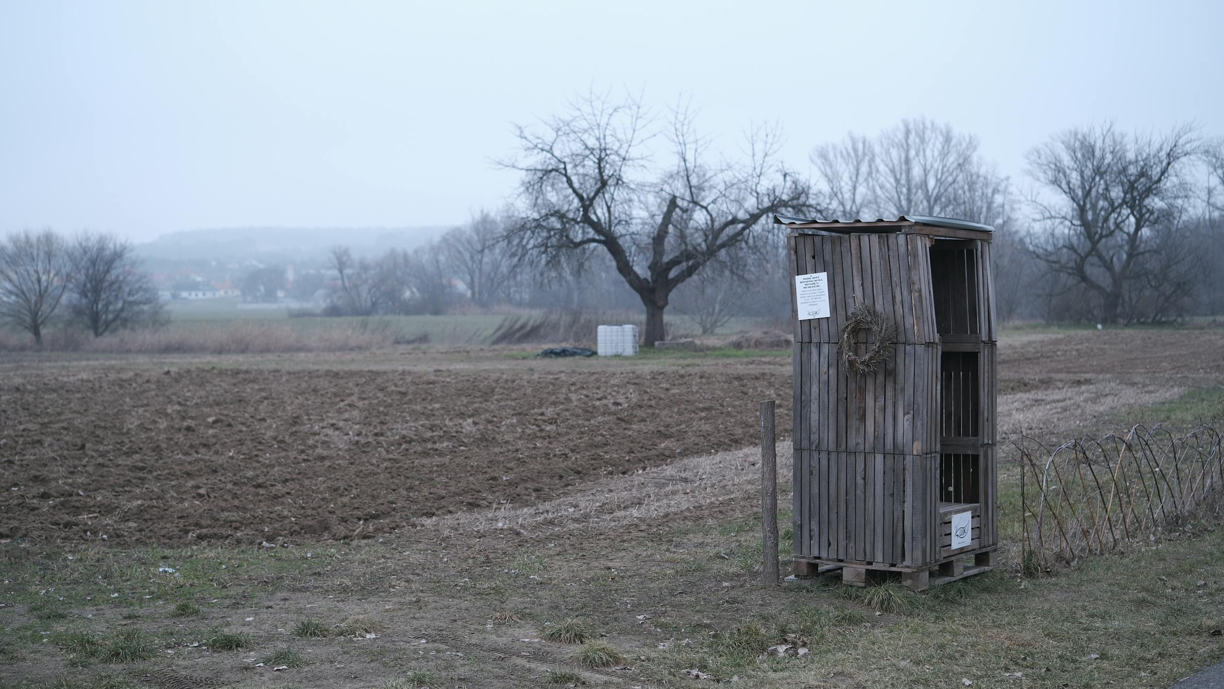 Rustic Wooden Shack in Czech Countryside · Free Stock Photo