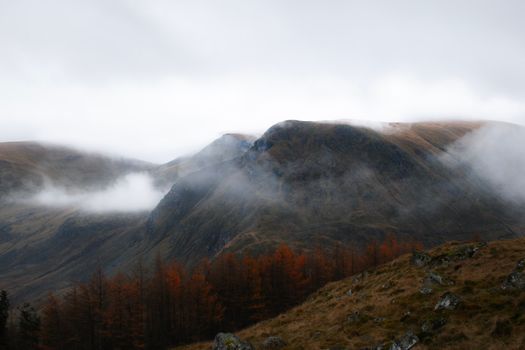 Scenic view of misty highlands with autumn foliage in Scotland.