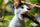 cat video