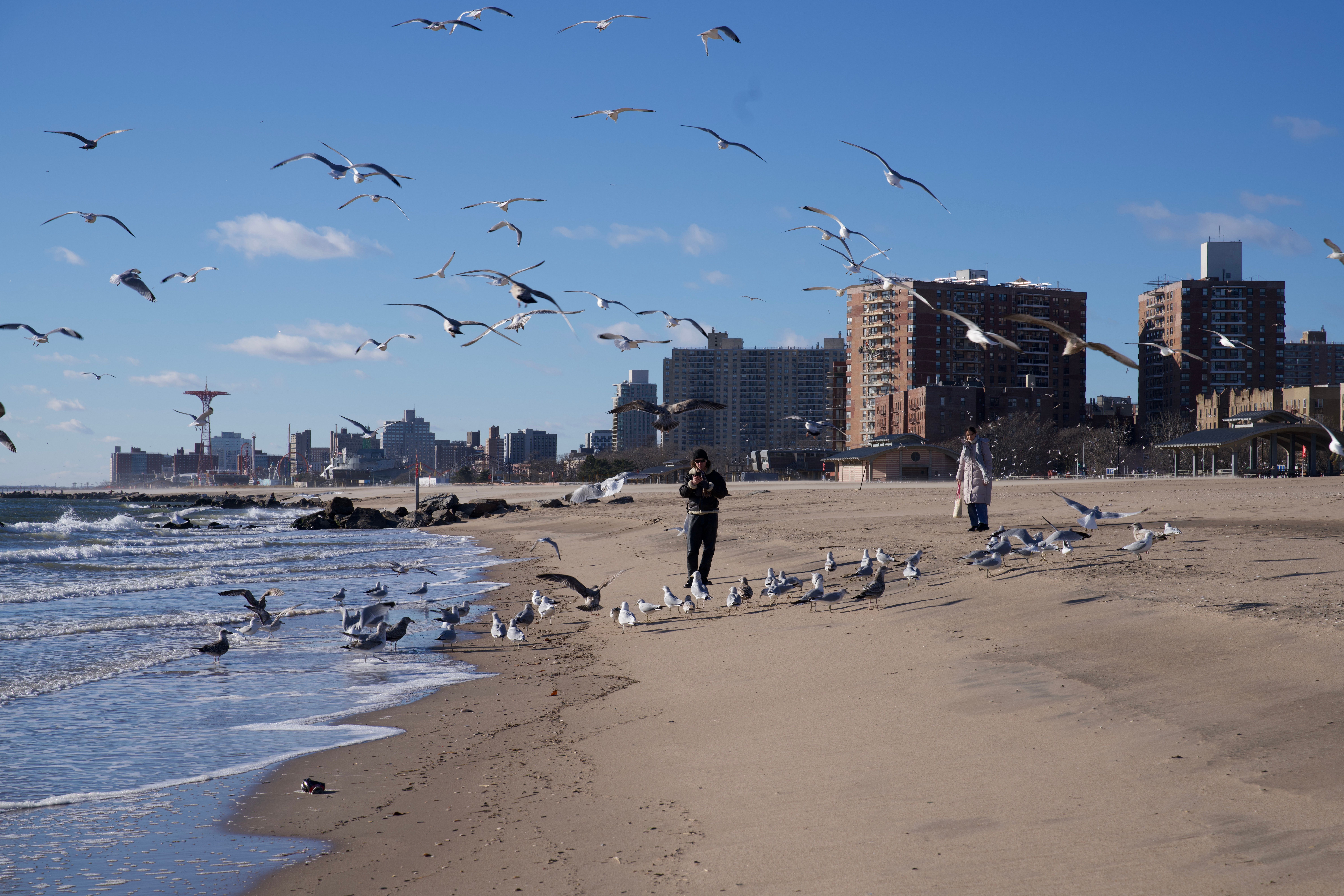 Euclid Beach Park Beach view 2