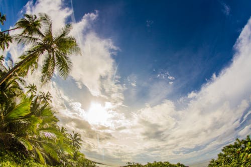 Kostnadsfri bild av blå himmel, clouds, dagsljus