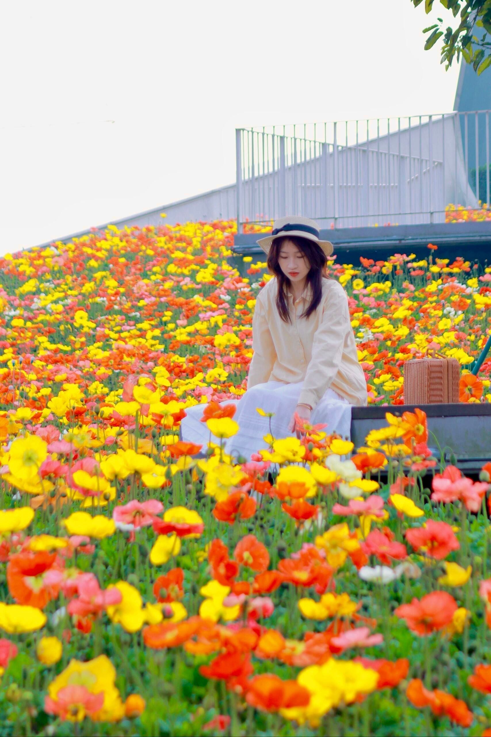 Woman Enjoying Colorful Spring Flowers Outdoors · Free Stock Photo
