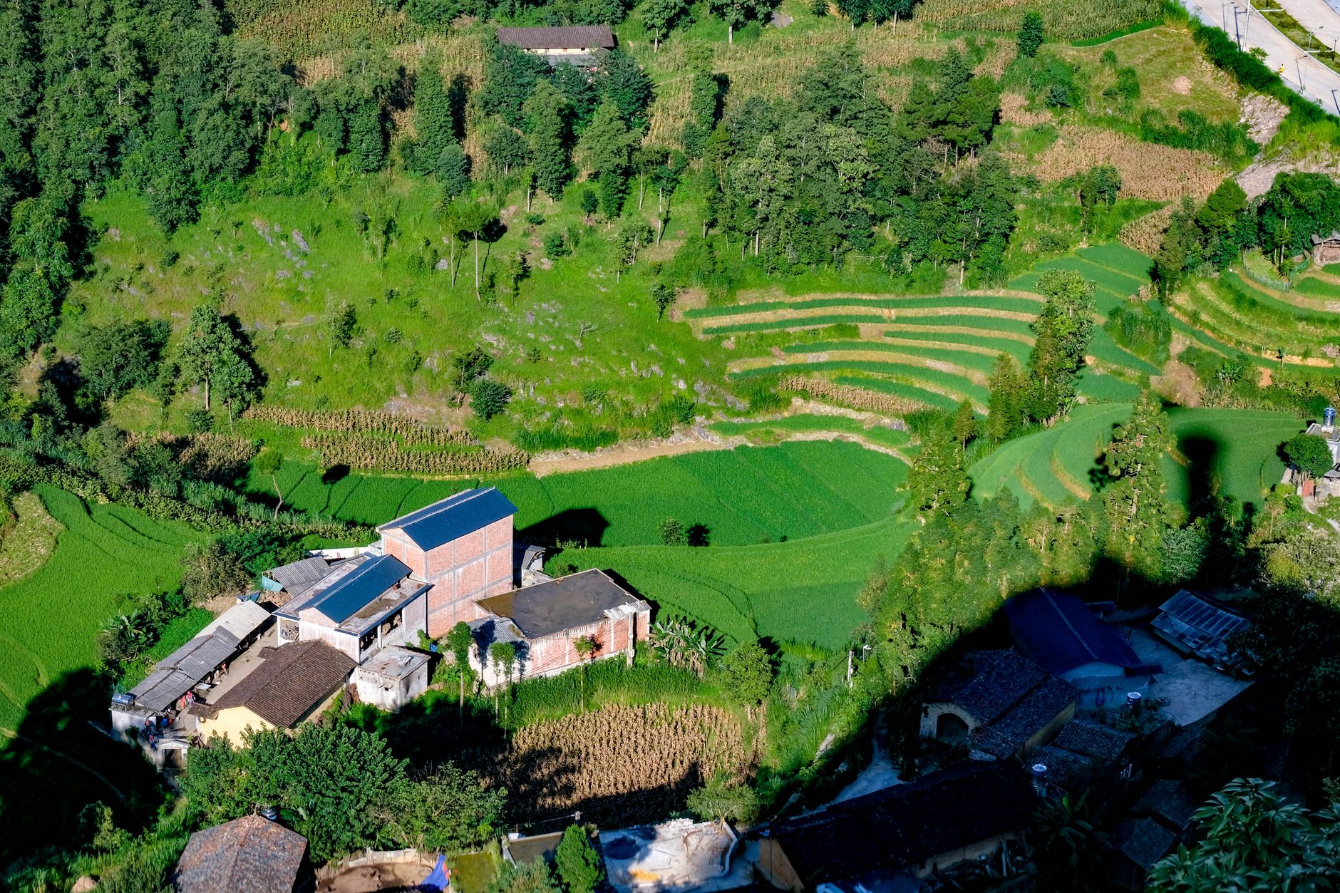 越南 Ha Giang 郁郁葱葱的绿色梯田和乡村建筑的鸟瞰图。