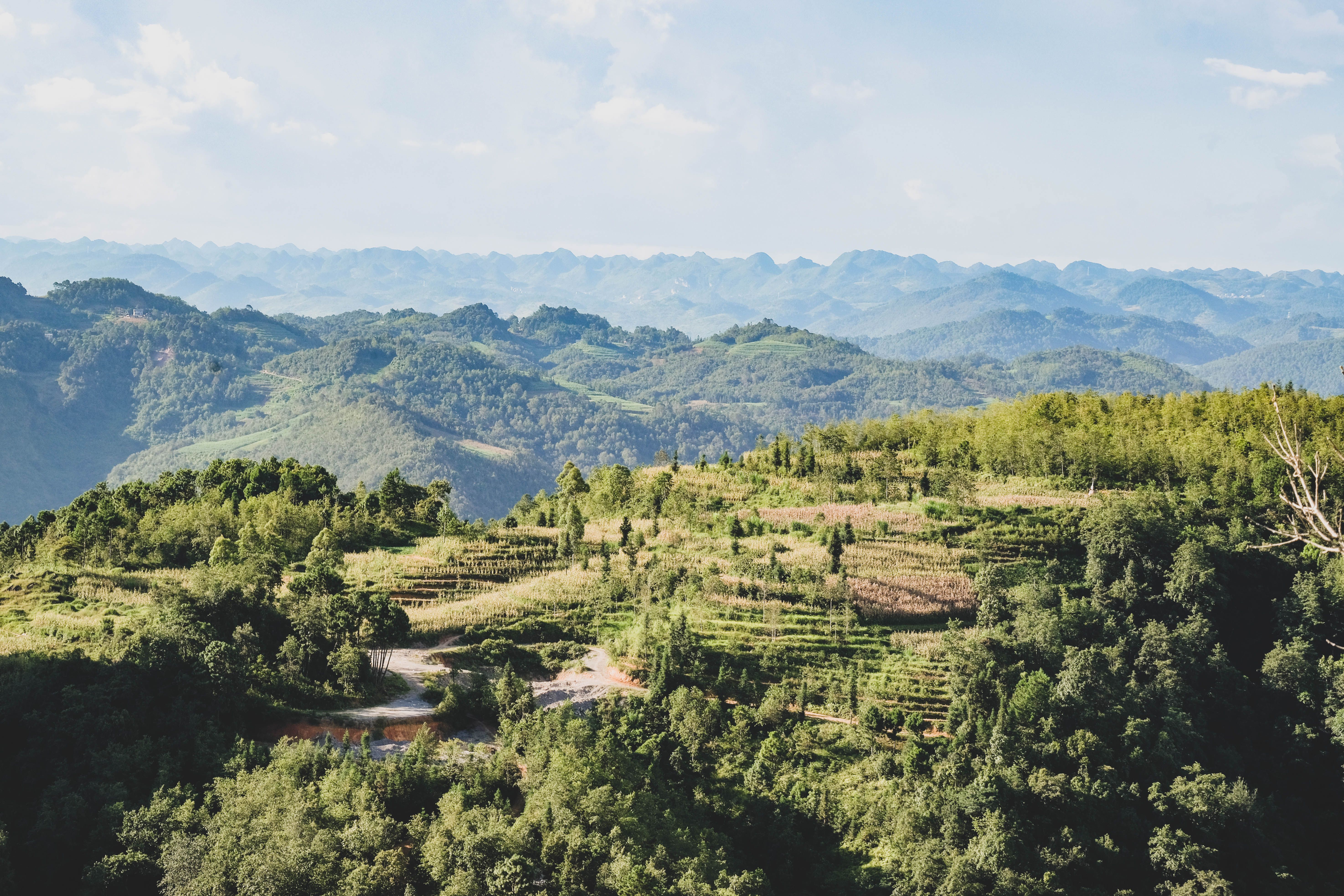 Wuyi Mountains — Essential Information