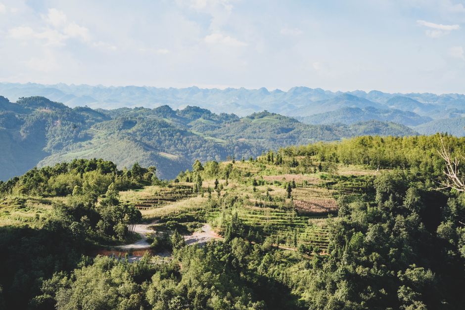 Wuyi Mountains — Essential Information