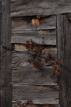 Image by Meryem Bilgen