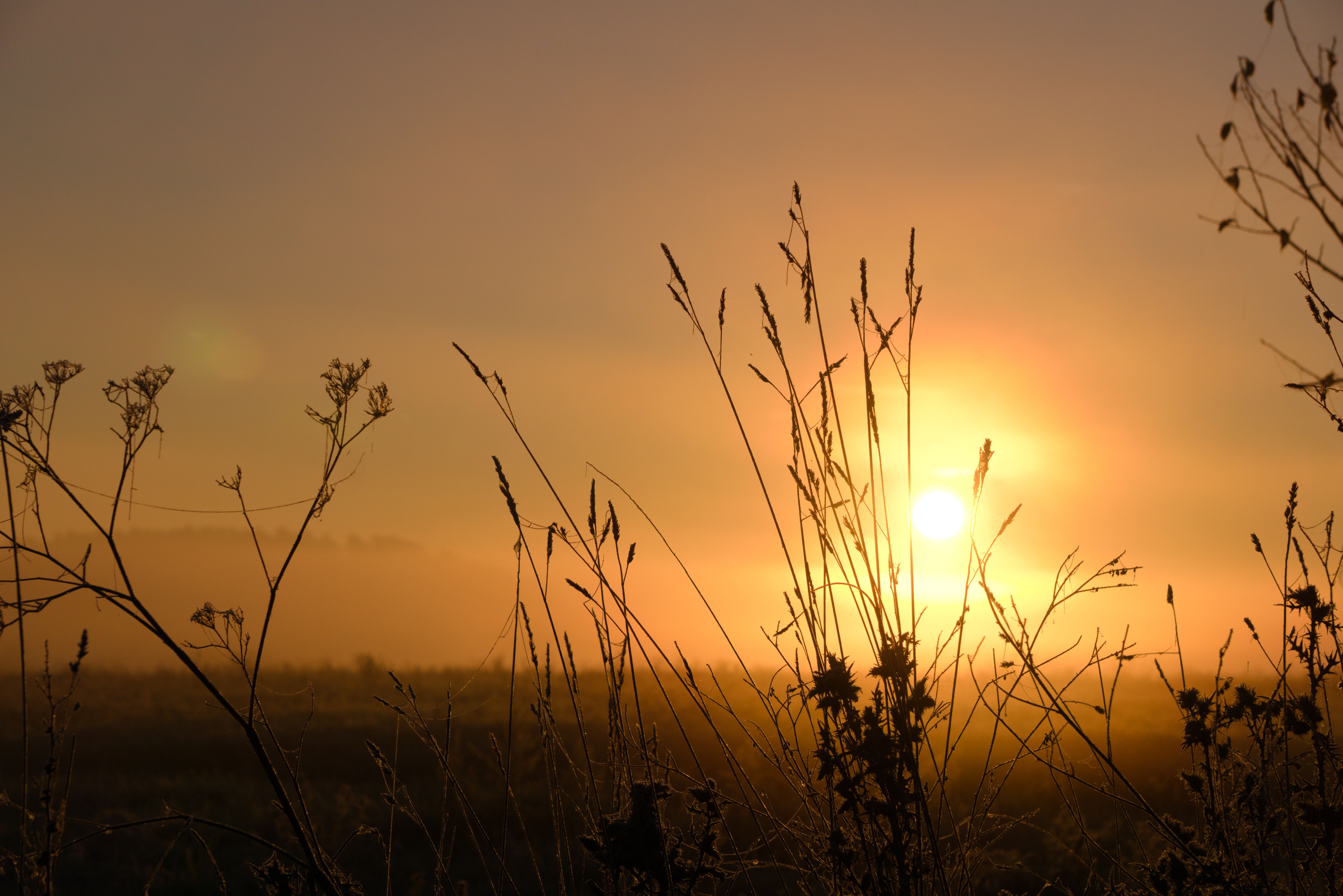 Changing Your Mindset Without the Positive-Thinking Nonsense