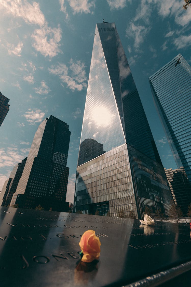 Flower On World Trade Center Memorial