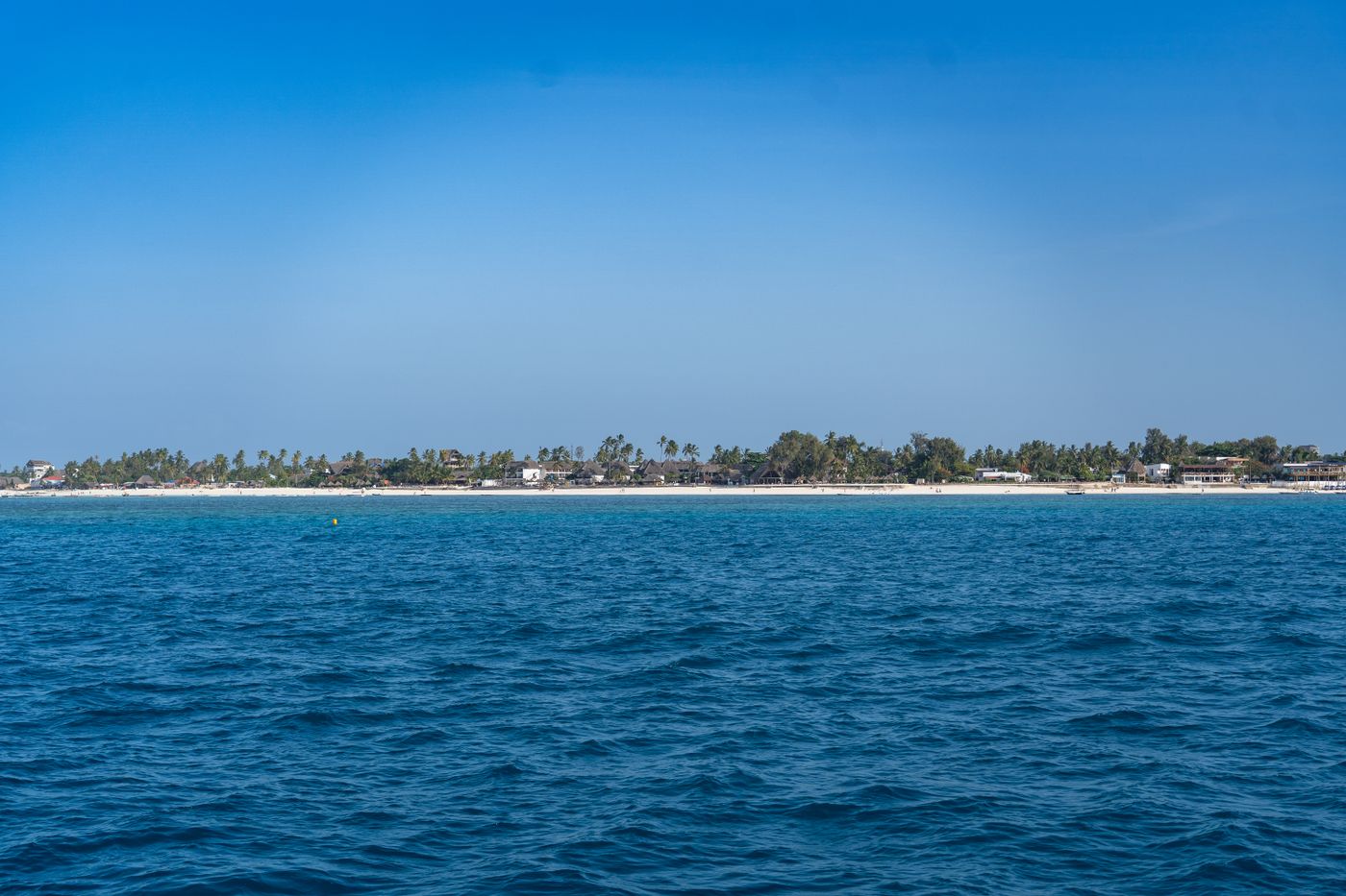 Zanzibar – tropikalna plaża z palmami i turkusowym Oceanem Indyjskim
