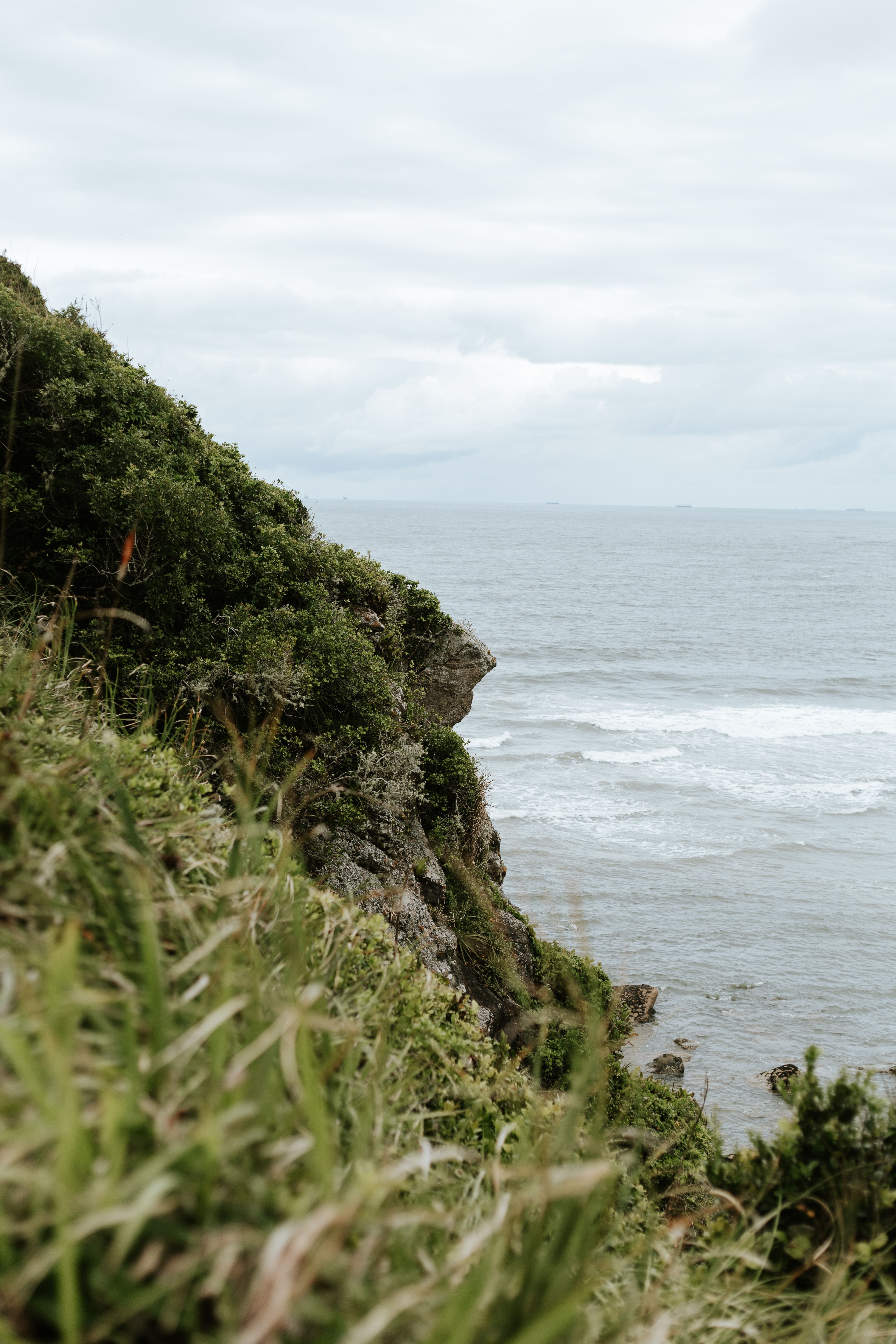 Scenic Coastal View from Lush Green Cliff · Free Stock Photo