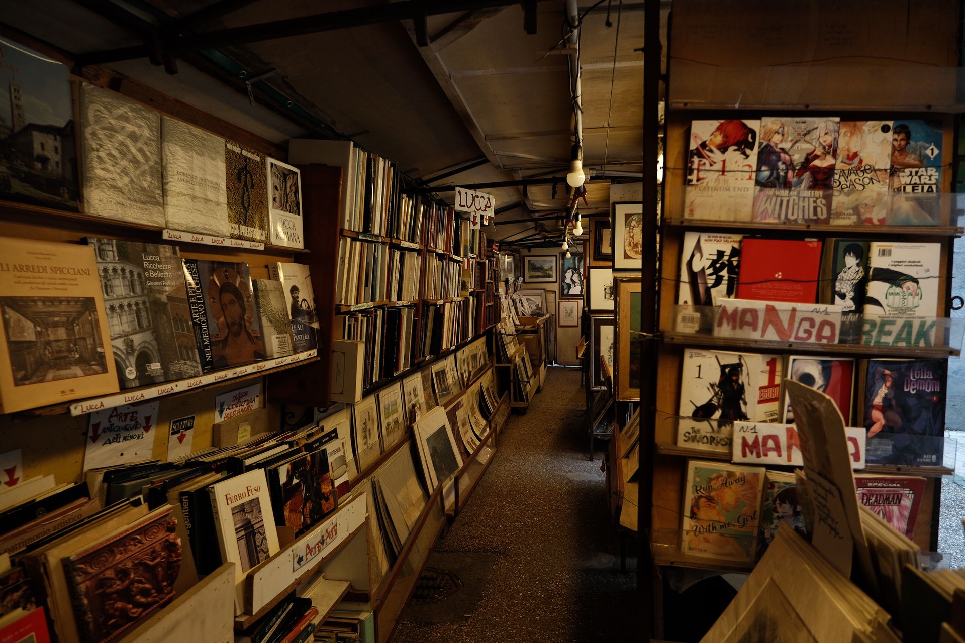 Explore a cozy bookstore filled with art and manga collections in Lucca, Tuscany.