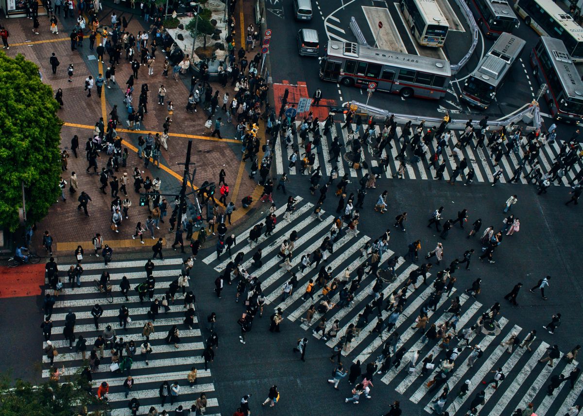 Aerial view of Shibuya Crossing seen from a rooftop viewing deck