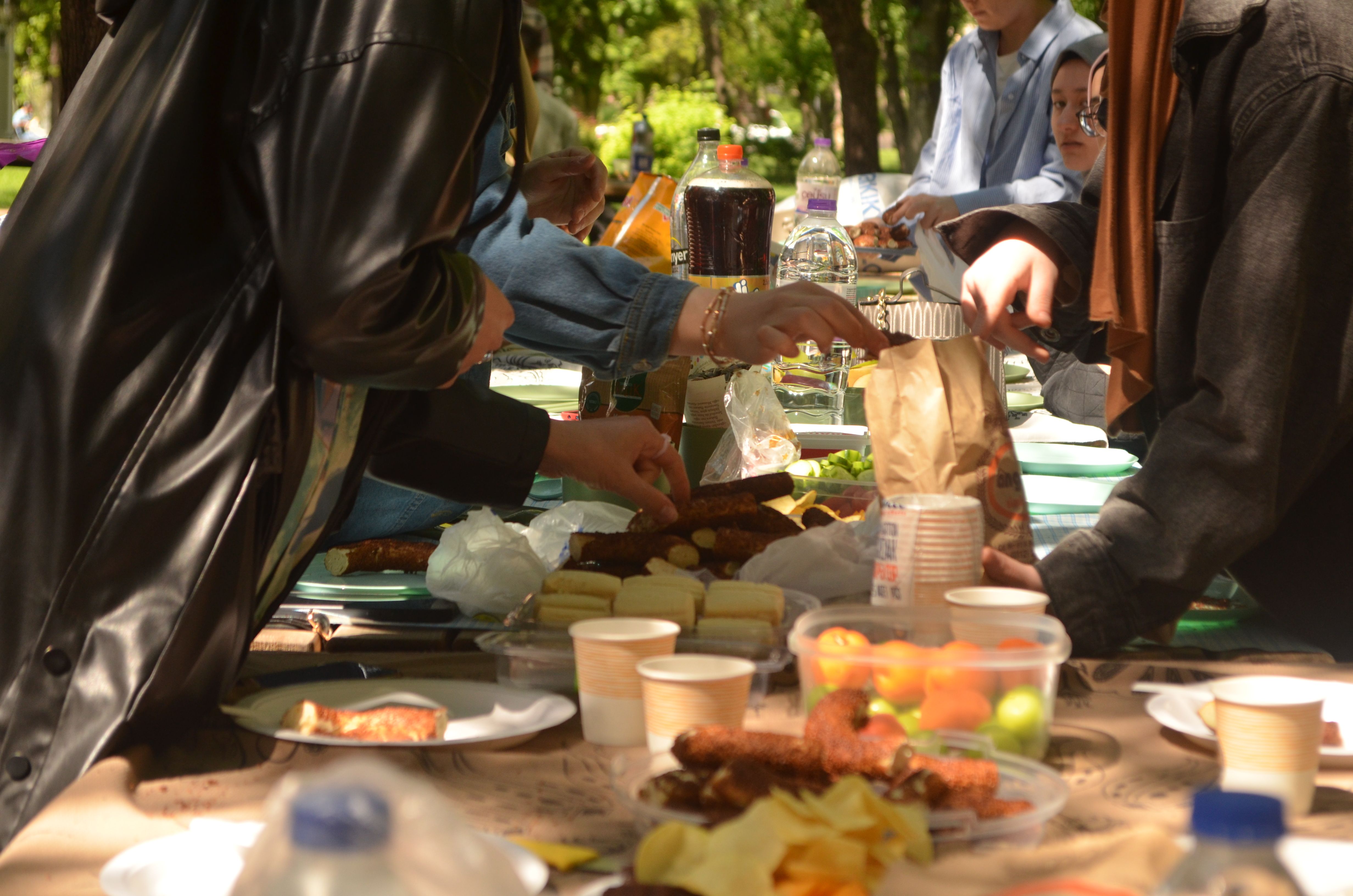 A lively outdoor picnic with friends sharing food and joy in Ankara.