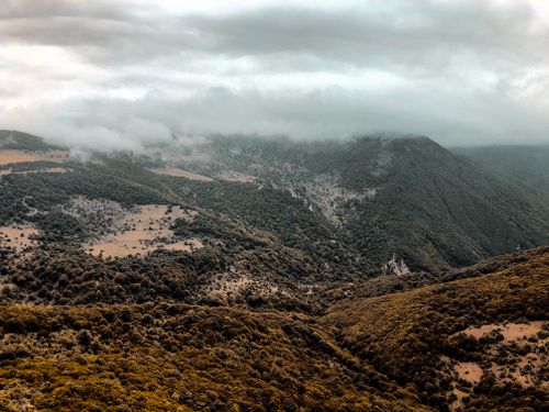 Free A scenic view of mist-covered mountains and dense forests creating a serene landscape. Stock Photo