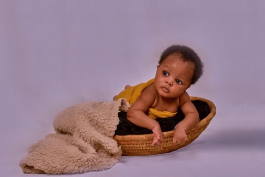 Charming portrait of a baby wrapped in a soft blanket inside a basket, showcasing innocence and warmth.