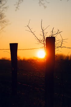 Dramatic sunset with silhouetted fence posts and branches, creating a tranquil rural scene.