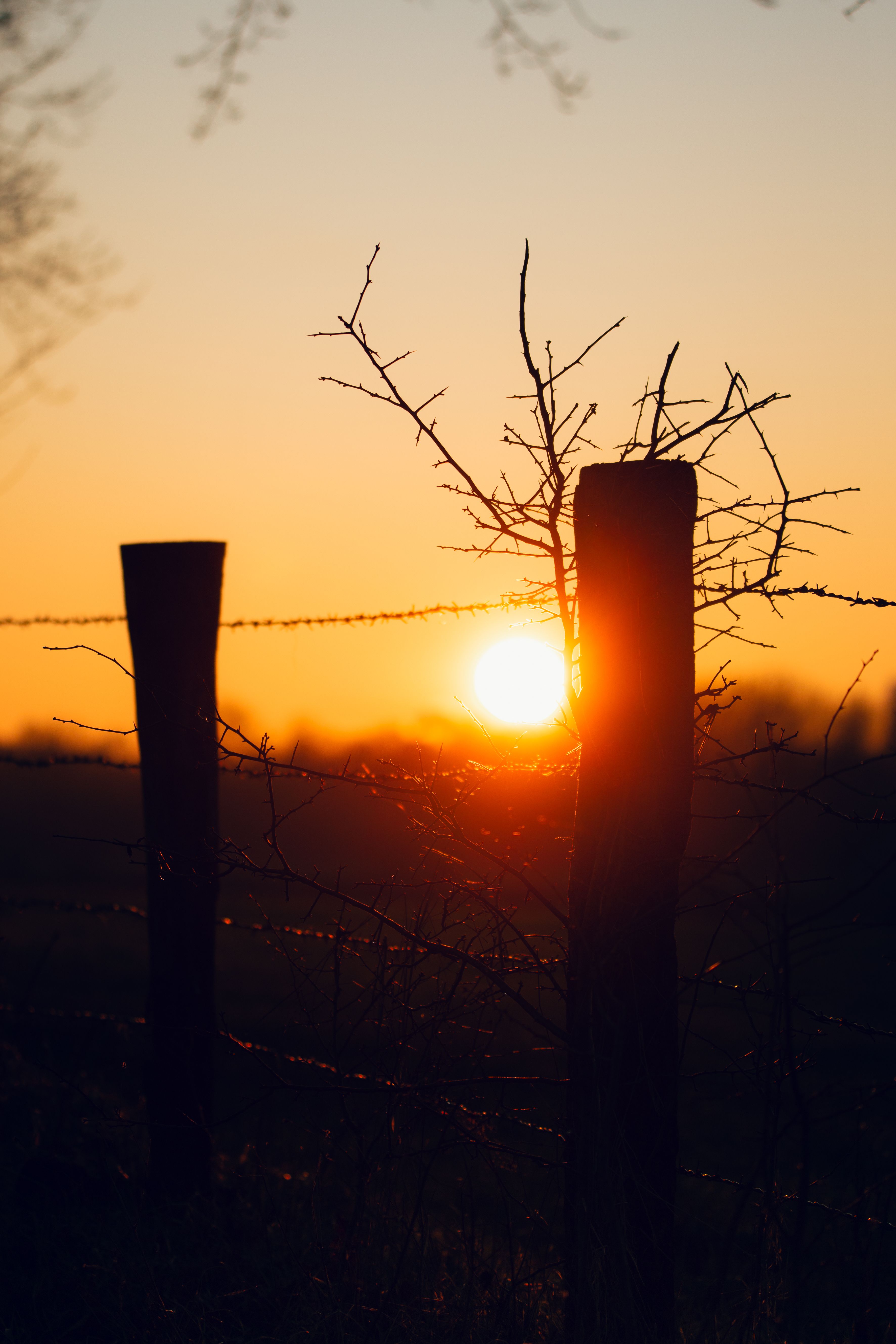 Silhouette of Fence Posts at Sunset · Free Stock Photo