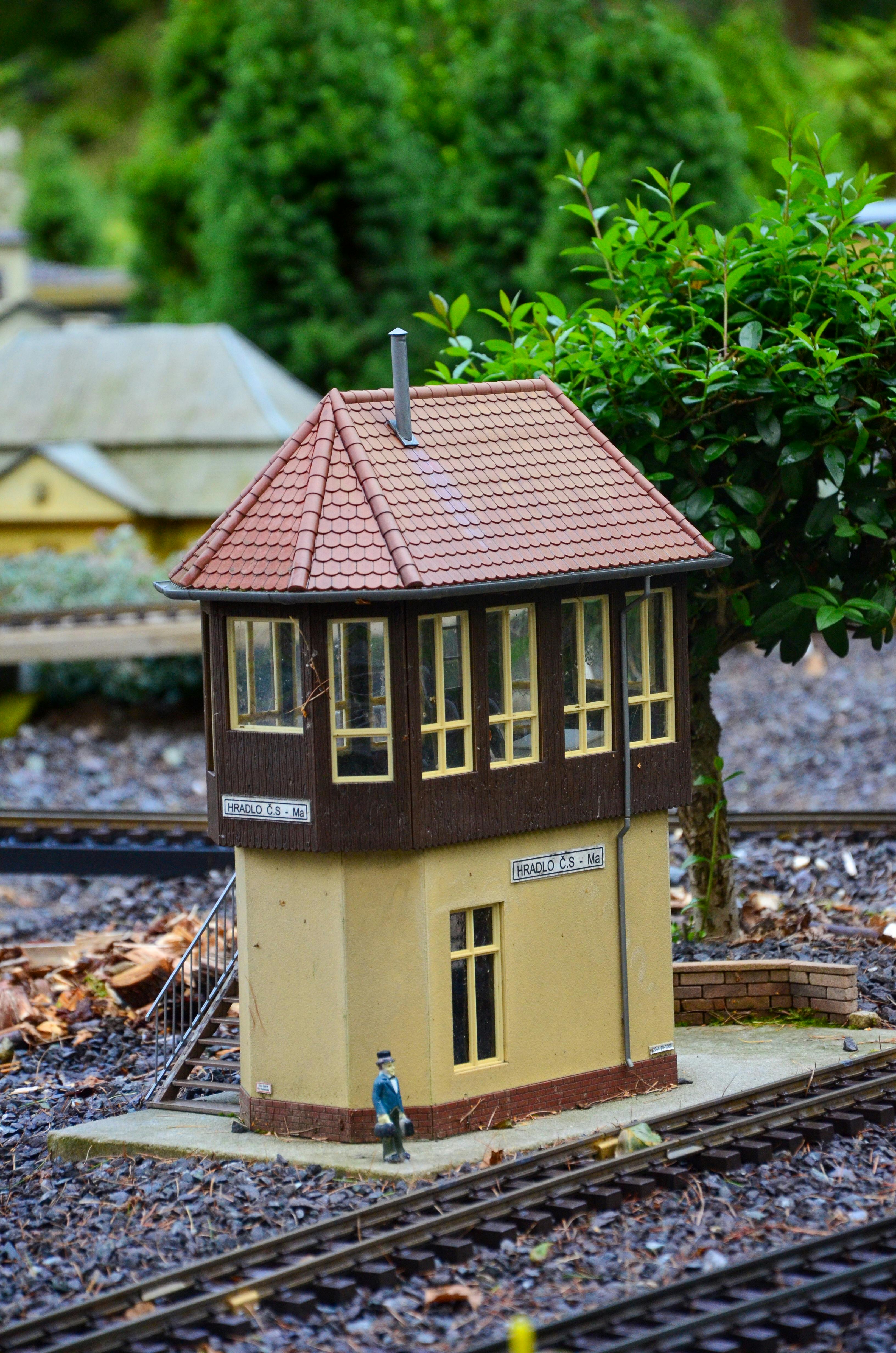 bezplatná Detailní záběr na miniaturní železniční návěstidlo obklopené zelení v nastavení venkovního modelu vlaku. Základová fotografie