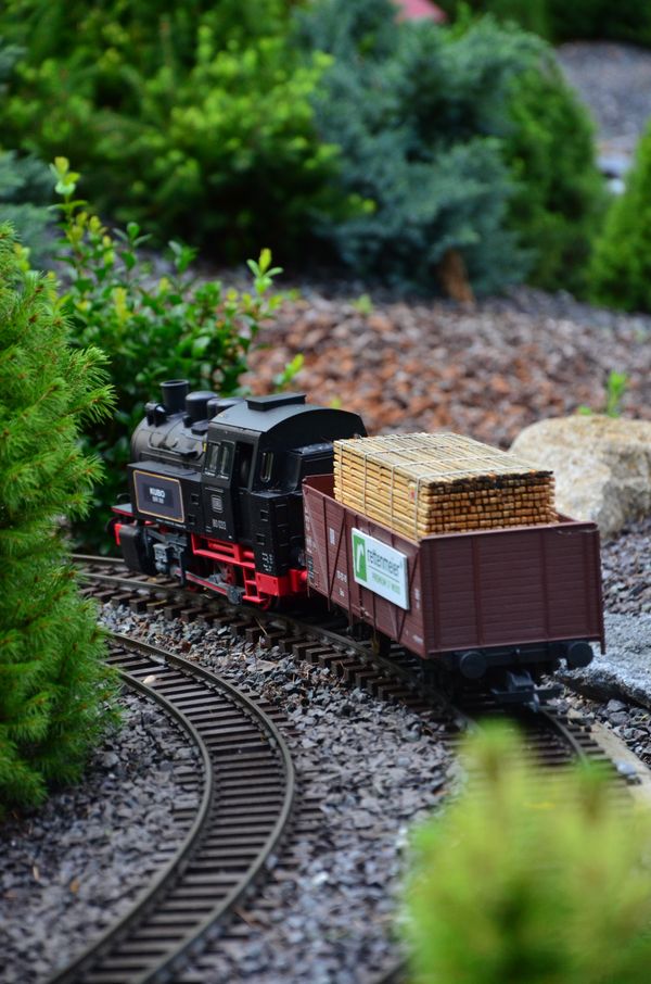 G scale garden railway train