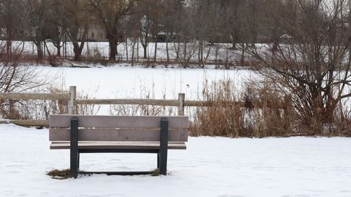 Free Lonely park bench in a snowy park during winter, offering a serene view. Stock Photo