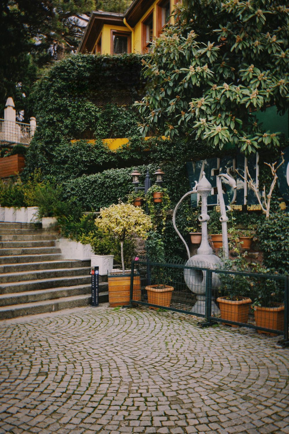 Cour urbaine végétalisée avec chemin pavé et murs couverts de feuillage
