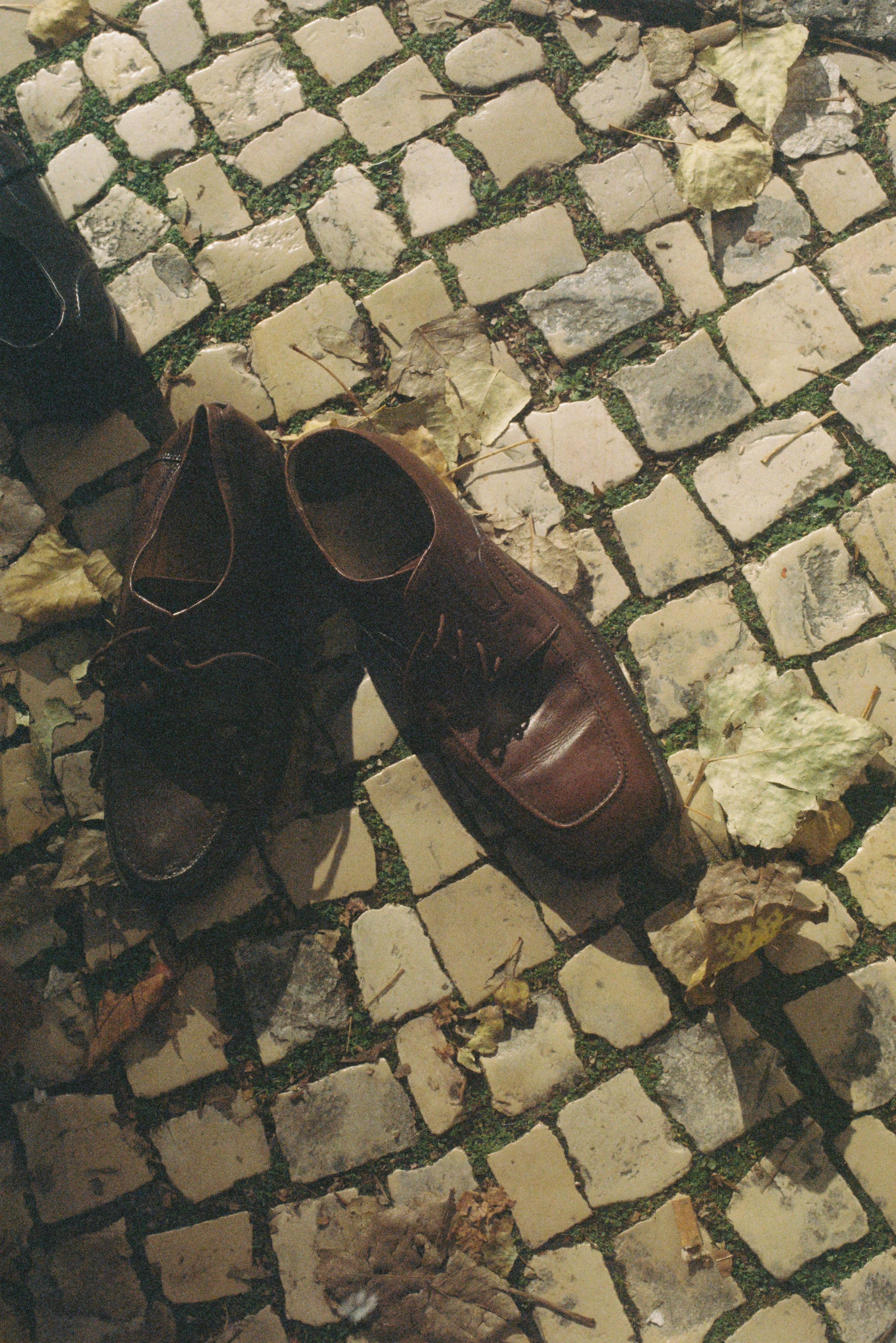 A pair of vintage leather shoes on Lisbon's iconic cobblestone streets, surrounded by fallen leaves.