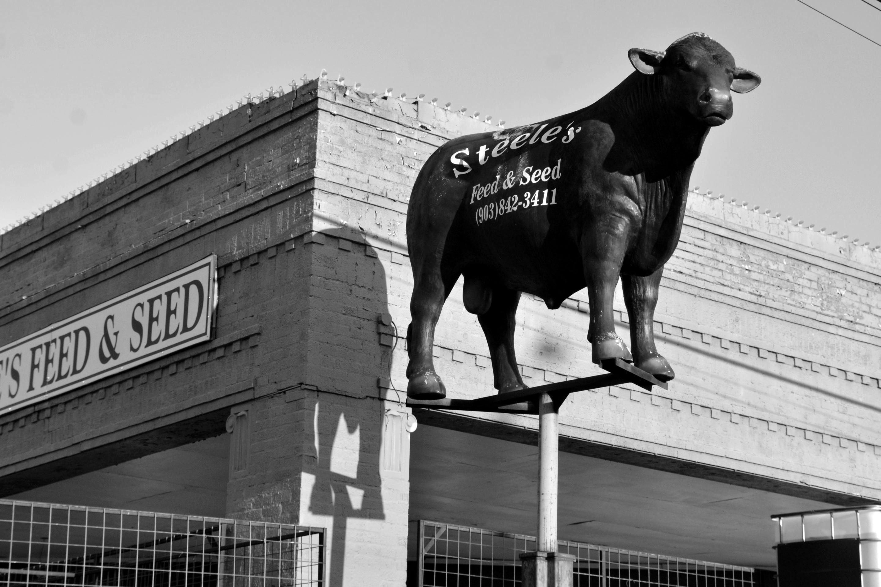 Feed Store Sign in Carthage, Missouri