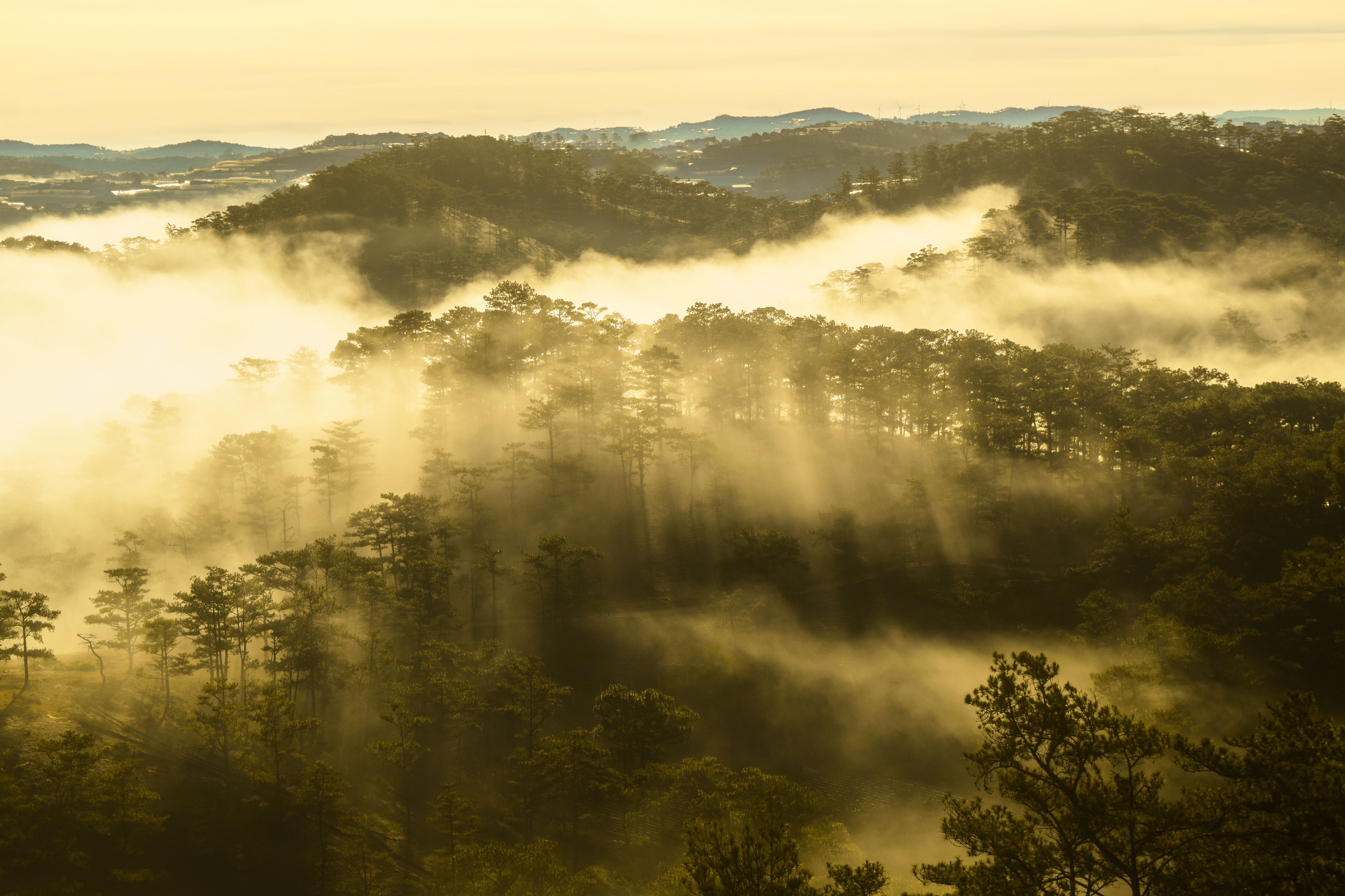 Vietnam's Untamed Heart: Exploring the Central Highlands