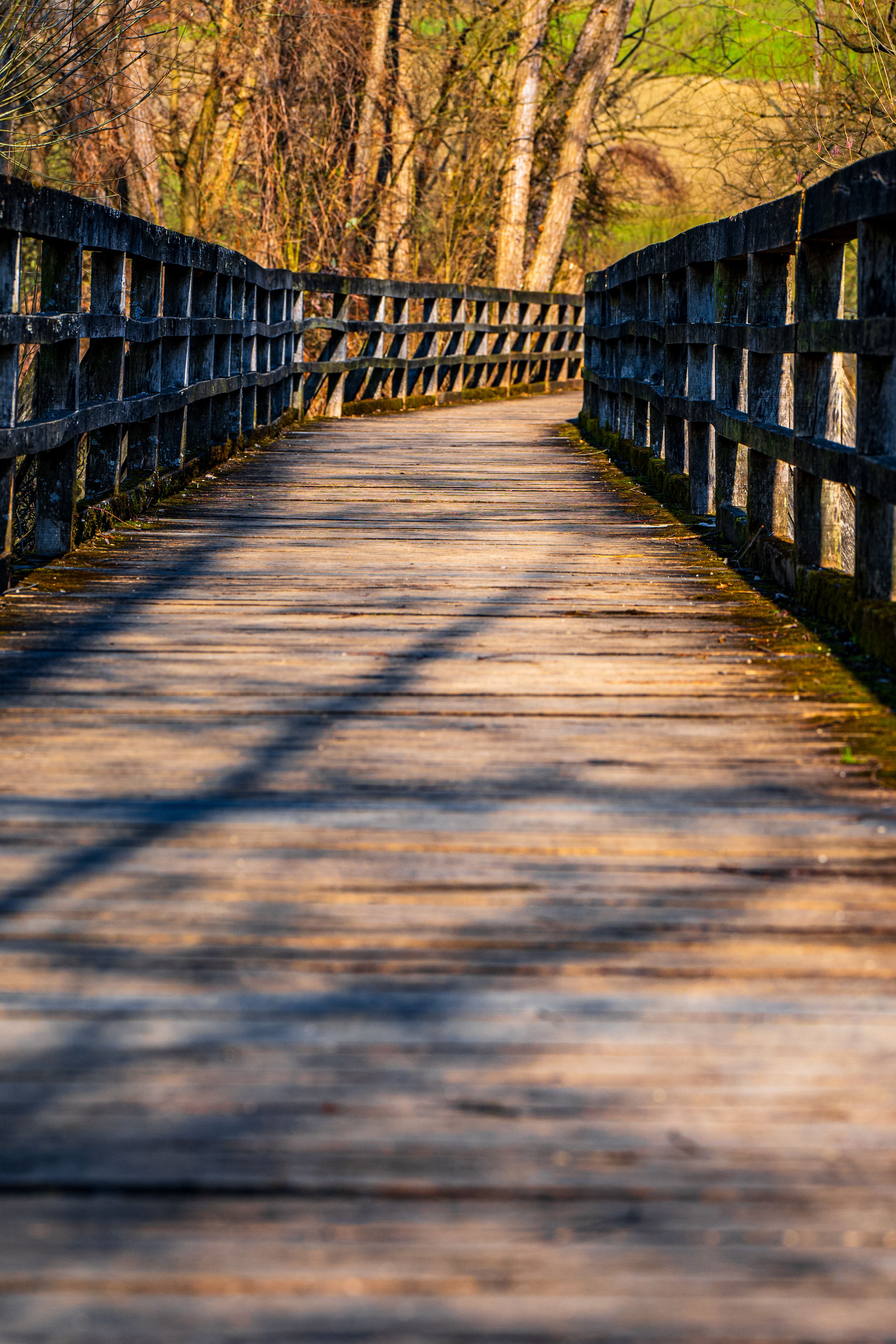 Rustic Wooden Bridge in Slovenian Countryside · Free Stock Photo