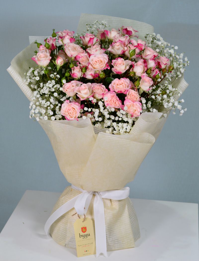 Mini Roses