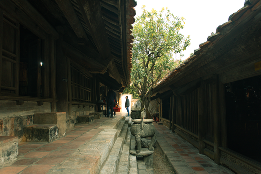 Temple of Literature with a historian — Hanoi
