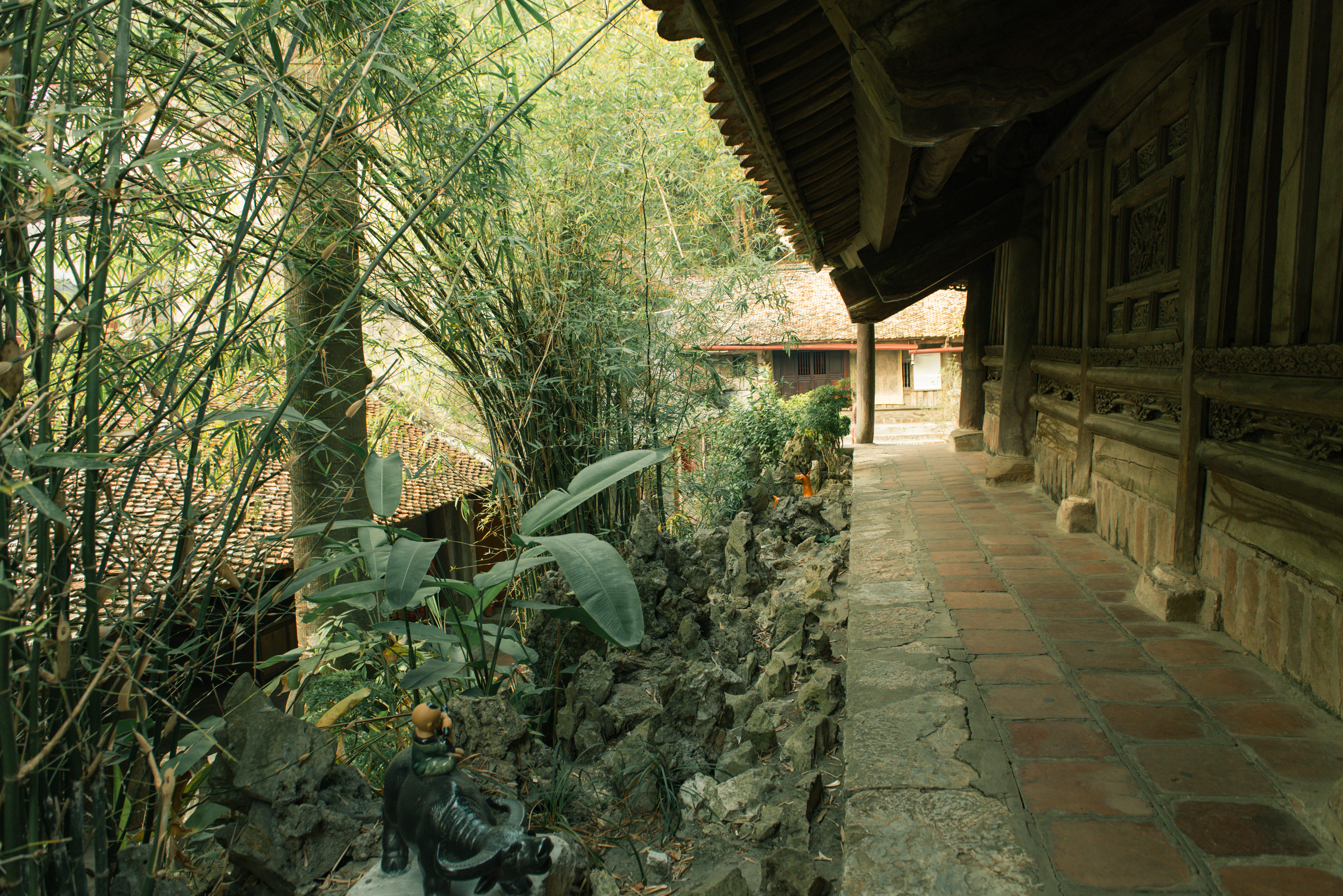 A peaceful temple walkway surrounded by lush bamboo in Hà Nội, Vietnam.