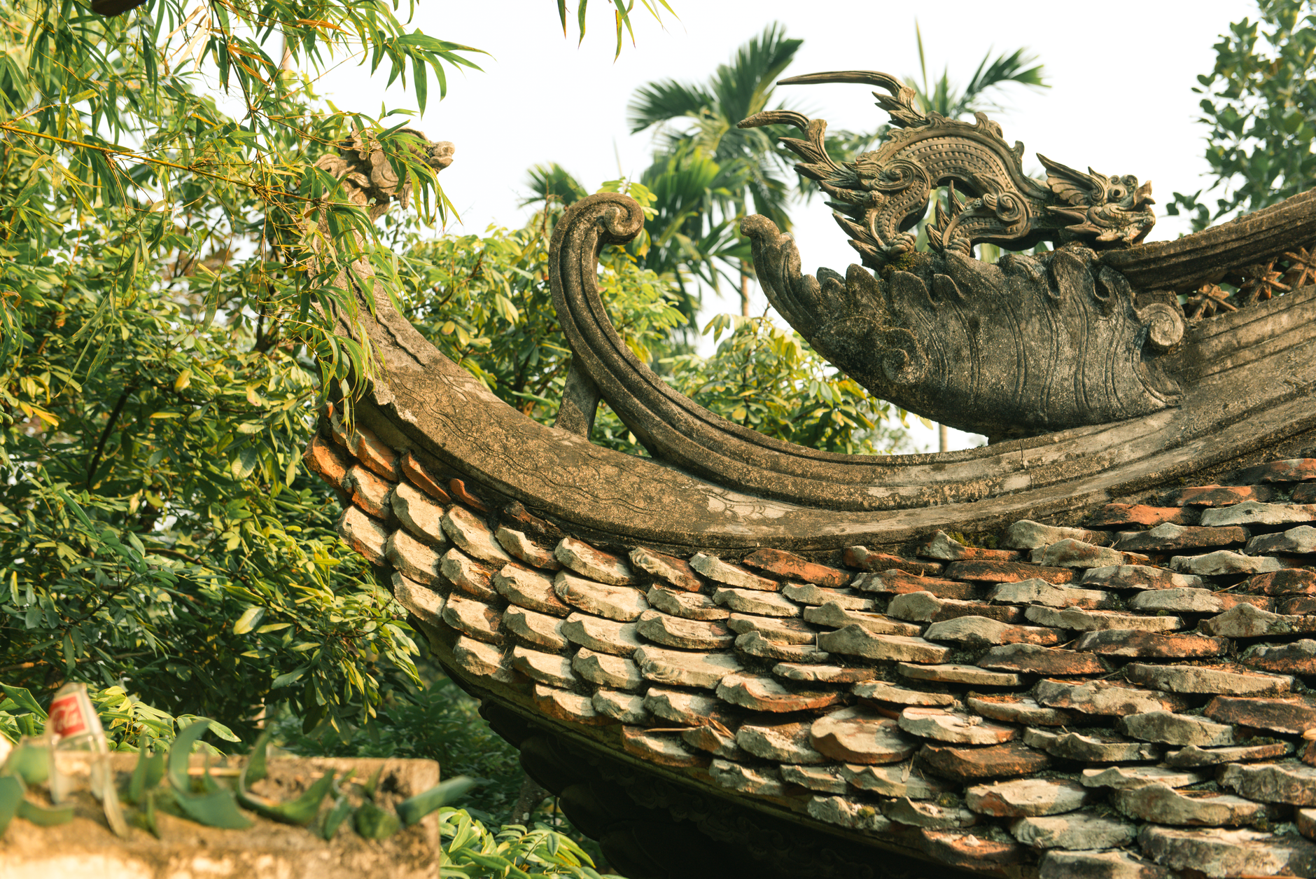 Hà Nội 寺庙屋顶上错综复杂的龙雕塑,周围环绕着郁郁葱葱的绿树。