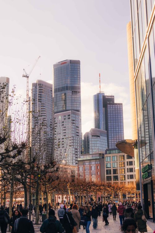 Free View of Frankfurt's skyline with high-rise buildings at sunset, captured in autumn. Stock Photo
