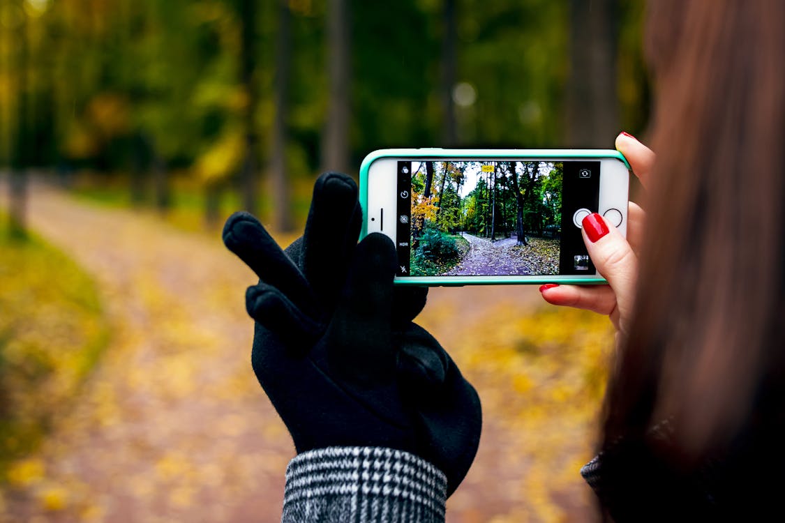 Woman Capture Photo of Pathway Through Forest